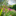 Tuin